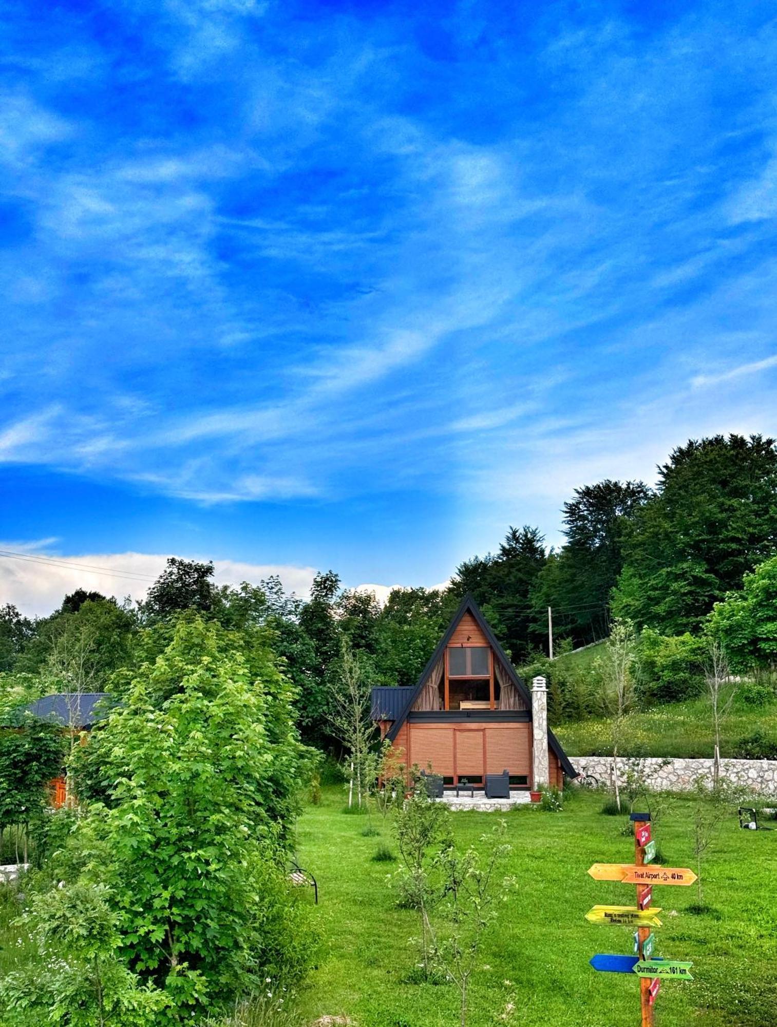 Albero Casa Villa Cetinje Exterior photo