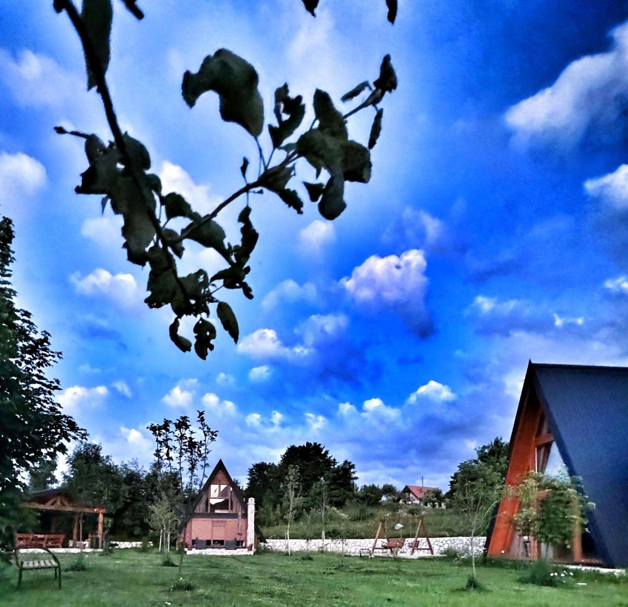 Albero Casa Villa Cetinje Exterior photo